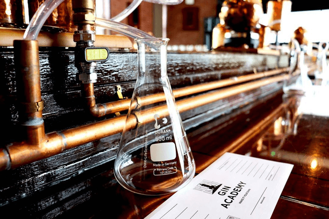 GIN EXPERIENCE 